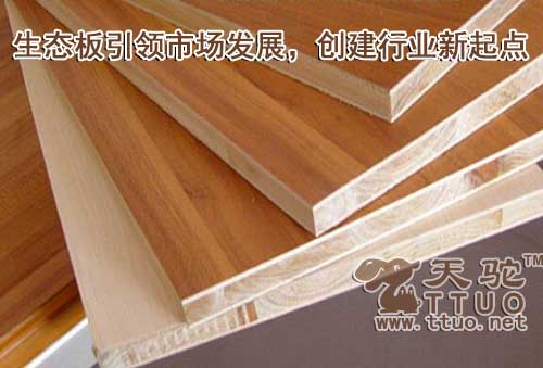 生态板引领市场发展,创建行业新起点